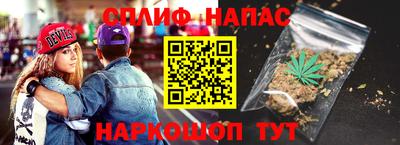 стафф Кингисепп