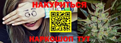 стафф Кингисепп