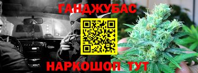 стафф Кингисепп