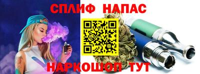 стафф Кингисепп