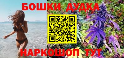 стафф Кингисепп