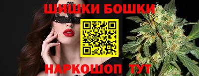 стафф Кингисепп