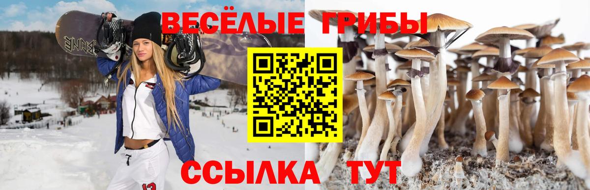 Керчь  Псилоцибиновые грибы ЛСД  Вход с VPN 